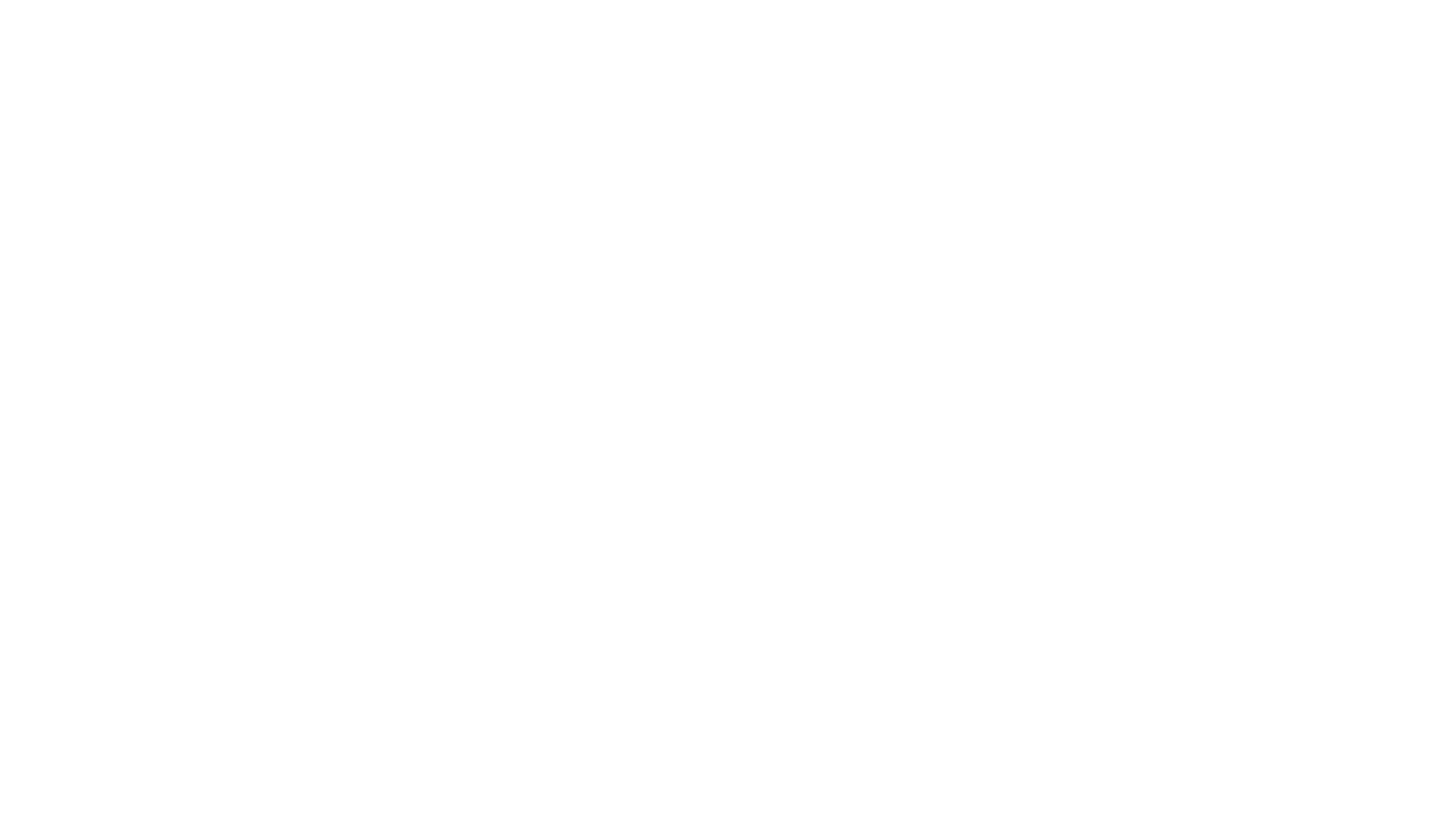 Nedoma logo